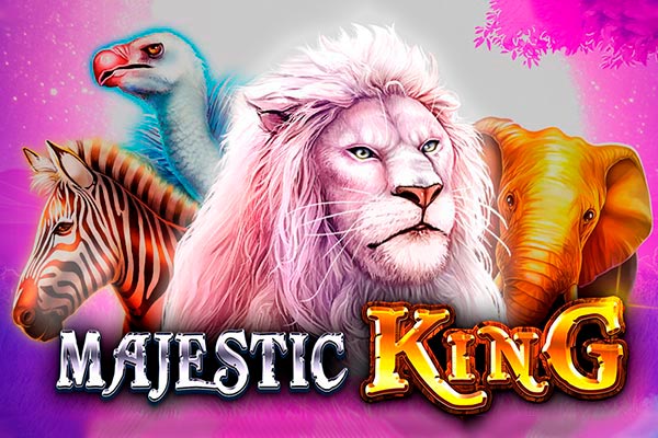 Jogos de bingo online
